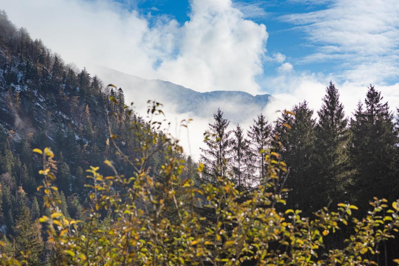 Chalets & Apartments Beim Waicher Ruhpolding Bagian luar foto